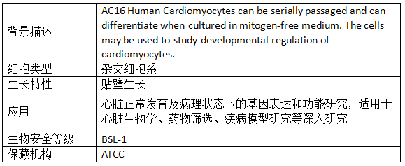 参考资料.png