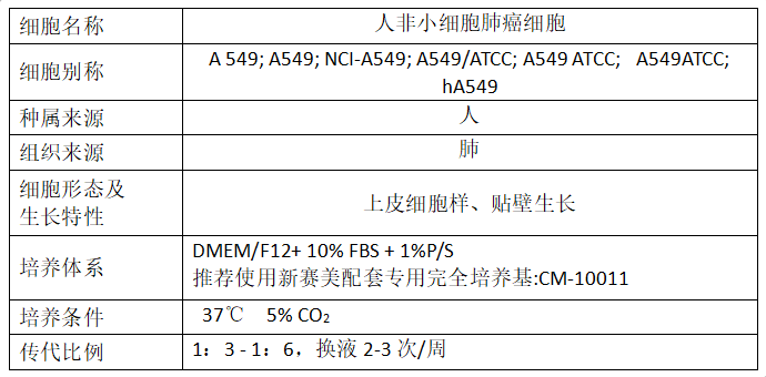 XIN .png